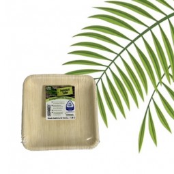 R Einweg Teller 15x15 cm 6er Pack, Palmenblatt