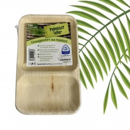 R Einweg Teller 25x15 cm 2-geteilt 6er Pack, Palmenblatt