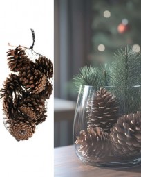 W Deko Tannenzapfen natur 12 Stück im Netz