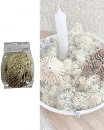 W Deko Finnlandmoos natur im Beutel