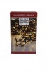 W Lichterkette 80 LED innen/außen, strombetrieben