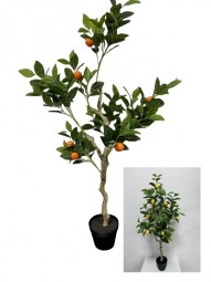 Deko Zitronenbaum & Orangenbaum