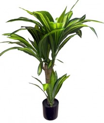 Deko Palme Yucca H x 80 cm