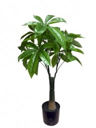 Deko Glückskastanie Baum H x 65 cm